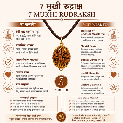 7 Mukhi Rudraksha